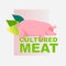 cell cultured pork meat artificial lab grown meat production concept