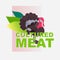 cell cultured turkey meat artificial lab grown meat production concept