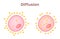 Cell diffusion vector