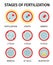 Cell Embryo Round Compositions