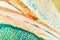 Cell microscopic- macro weevil rye