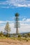 Cell-Mobile phone tower disguised as a pine tree in mountains of US with muddy tracks in foreground