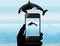 Cell phone photography is featured here with a phone and hand as a photo of a leaping orca