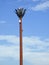 cell phone tower in Egypt or cellular phone antenna disguised on fake palm tree placed at proper intervals along highways and