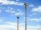 cell phone tower in Egypt or cellular phone antenna disguised on fake palm tree placed at proper intervals along highways and