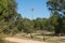 Cell tower trees and fencing