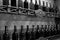 Cellar shelves with dark corked wine bottles against wooden wall black and white monochrome.