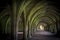 Cellarium Fountains Abbey