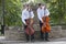 Cellist musician group perform music in the street, close up man playing violin