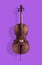 Cello brown isolate on pink purple background.
