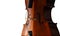 Cello closeup on white background