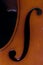 Cello detail