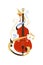 Cello flat vector illustration