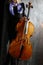 Cello musician