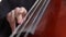 Cello. Musician play on cello