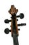 Cello Scroll