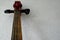 Cello strings, neck and fingerboard. Old brown cello