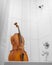 Cello wet while having a shower