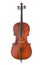 Cello on white background