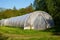 A cellophane covered greenhouse with a green grass in the foreground.