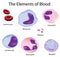 The cells of blood