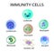 Cells of immunity. Set. Leukocyte, lymphocyte, eosinophil, neutrophil, monocyte, basophil, dendritic cell. Vector illustration on