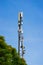 Cellular phone antena with blue sky and green tree background