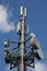 Cellular phone network mast