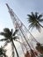 Cellular Signal Tower among coconut trees and blue sky.
