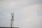 Cellular transmitter Telecommunication tower with antennas Multiplicity communications. microwave tower Cell Phone