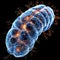 Cellular wonder : mitochondria, the dynamic organelles shaping energy production and vital cell functions within the