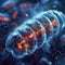 Cellular wonder : mitochondria, the dynamic organelles shaping energy production and vital cell functions within the