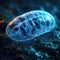 Cellular wonder : mitochondria, the dynamic organelles shaping energy production and vital cell functions within the