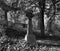 Celtic cross grave stone