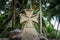 Celtic cross grave stone in foreground