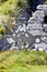 Celtic cross near the ruins of O`Brien`s castle on Inisheer, Aran islands, Ireland