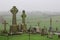 Celtic High Cross in Cemetery, Rock of Cashel, Ireland