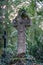 Celtic stone cross monument covered with ivy on a graveyard