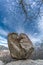 Celtic Vetton sacred place Nemeton, Large boulder of granite rock surounded by trees at Silla de Felipe II Phillip II chair