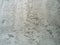 Cement board background and texture. Unevenly set cement. Rough gray concrete wall