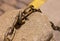 Cement curbstone metal hook with chain rustic links on blurred background cobbled