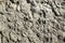 Cement grout closeup texture. Rough plaster background