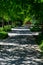 Cement path leading through a shady tunnel of Katsura trees to a planter of colorful annual flowers