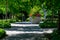 Cement path leading through a shady tunnel of Katsura trees to a planter of colorful annual flowers