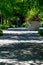 Cement path leading through a shady tunnel of Katsura trees to a planter of colorful annual flowers