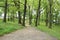 Cement pathway through a wooded park