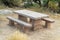 Cement picnic table with flat bench and top made of rock or stone in woods or national park with shrubs and trees