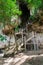 Cement staircase, leading up to Khao Khanap Nam Cave in Krabi, T