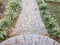 Cement steps and brick path with leaves and grasses