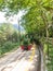 The cement train. Old train  between the Pobla de Lillet and the cement factory Asland, passing through the Garden Artigas de Gaud